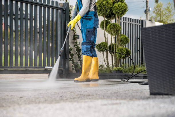 Best Building Exterior Washing  in Cortland, NY